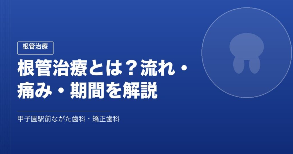 根管治療とは？流れ・痛み・期間を解説