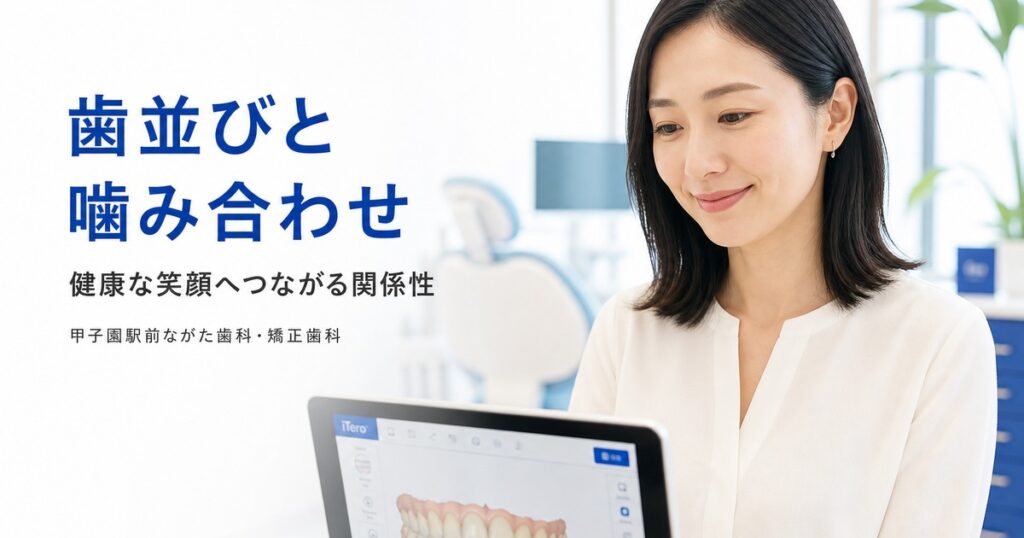 歯並びと噛み合わせの関係｜甲子園の歯科が解説